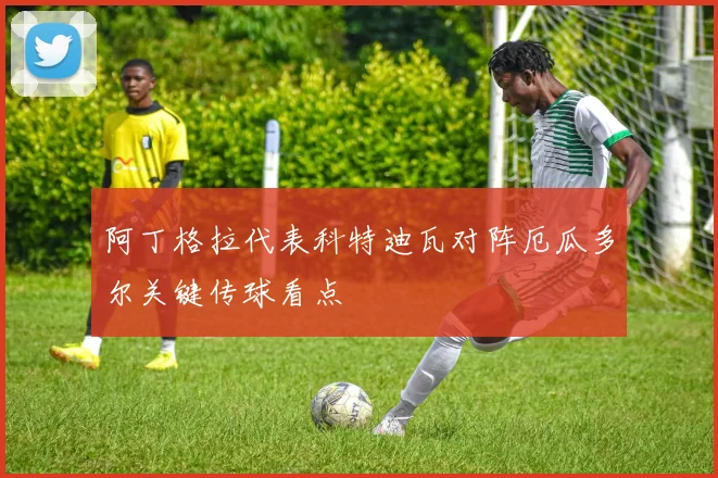 阿丁格拉代表科特迪瓦对阵厄瓜多尔关键传球看点