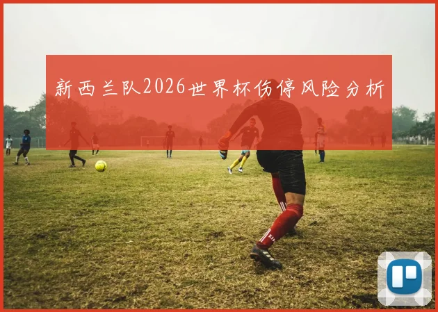 新西兰队2026世界杯伤停风险分析