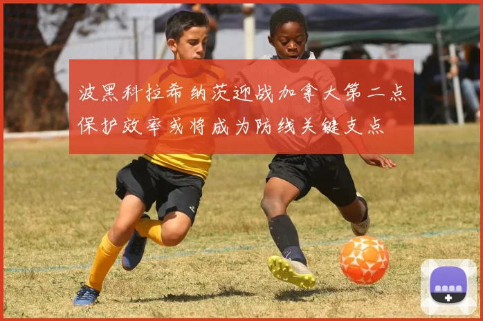 波黑科拉希纳茨迎战加拿大第二点保护效率或将成为防线关键支点